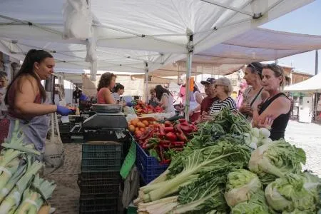 La Diputación de Segovia destina 220.000 euros a 118 ayudas para el comercio rural