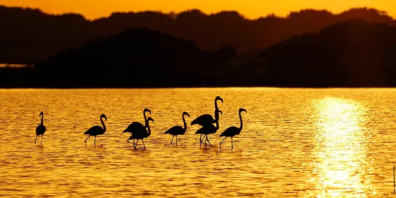 Estany Pudent y Ses Salines: tesoros naturales e históricos de Formentera