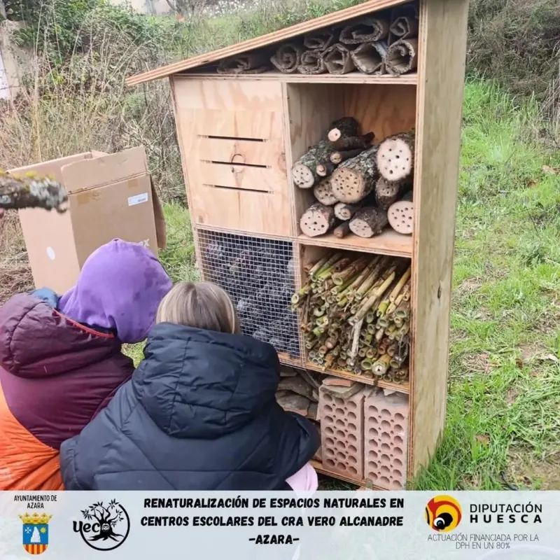 Los escolares de Azara aprenden sobre biodiversidad con un proyecto de renaturalización