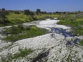 Botija: Geografía, clima y biodiversidad de un municipio extremeño