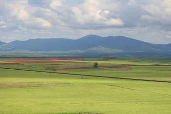 La vegetación de Maderuelo: un paisaje transformado por la historia y el clima