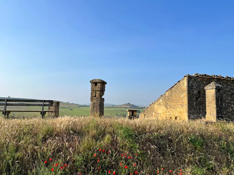 Briñas desvela la historia de sus bodegas tradicionales y miradores con encanto