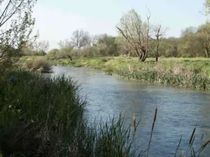 Batres protege el 75% de su término municipal como Parque Regional del Río Guadarrama