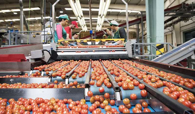Exportaciones agroalimentarias andaluzas crecen casi un 4% en el primer cuatrimestre