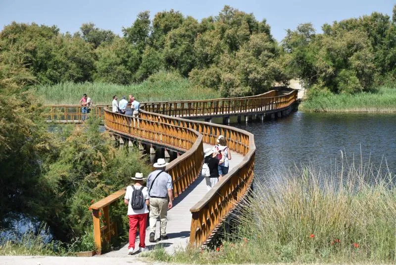 Las Tablas de Daimiel prevén superar los 240.000 visitantes en 2026 gracias a su buen estado hídrico