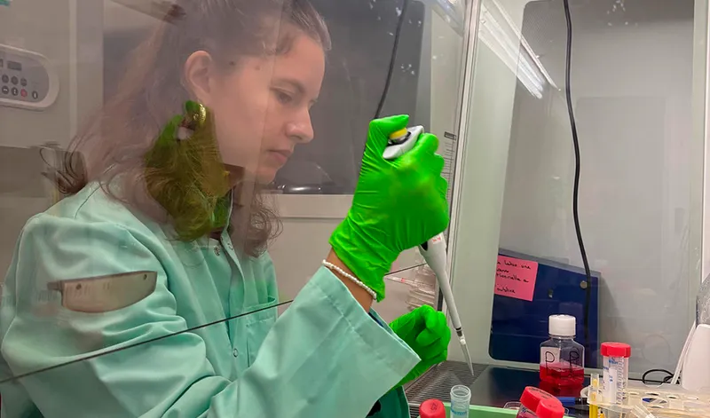 Científicos andaluces descubren una molécula clave de la microbiota para fortalecer la defensa intestinal