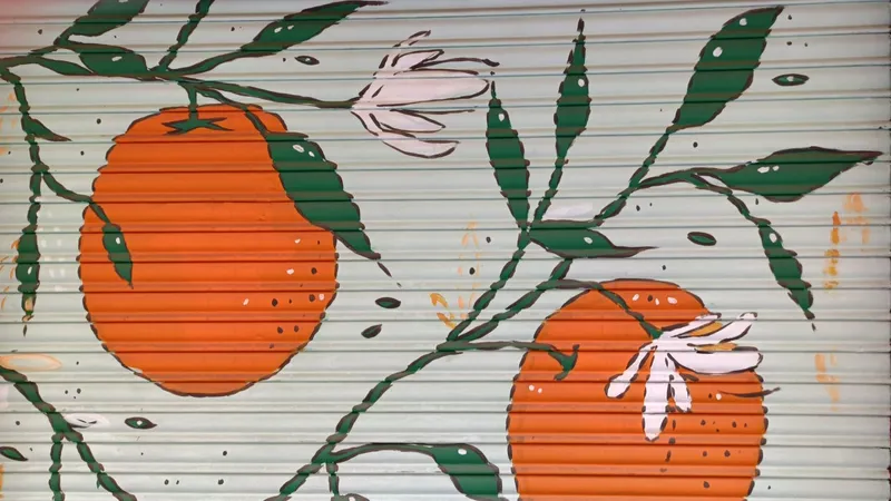 Concurso de arte urbano para decorar persianas en comercios y garajes de Ruzafa