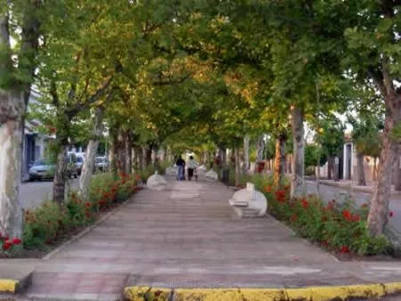 El Ayuntamiento de Rosalejo presenta su álbum de fotos municipal