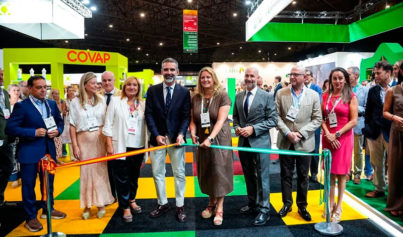 La Junta de Andalucía destina 12 millones de euros a la agroindustria para paliar daños por borrascas