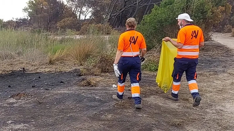 Limpieza intensiva en El Saler tras el incendio: 750 kilos de residuos retirados