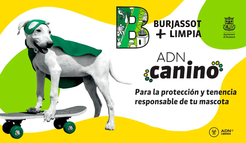 Burjassot publica listado de clínicas veterinarias y servicios de genotipado canino