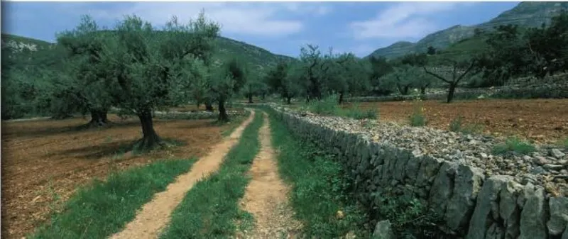 La Diputación de Tarragona acerca la historia y la identidad a través de sus caminos