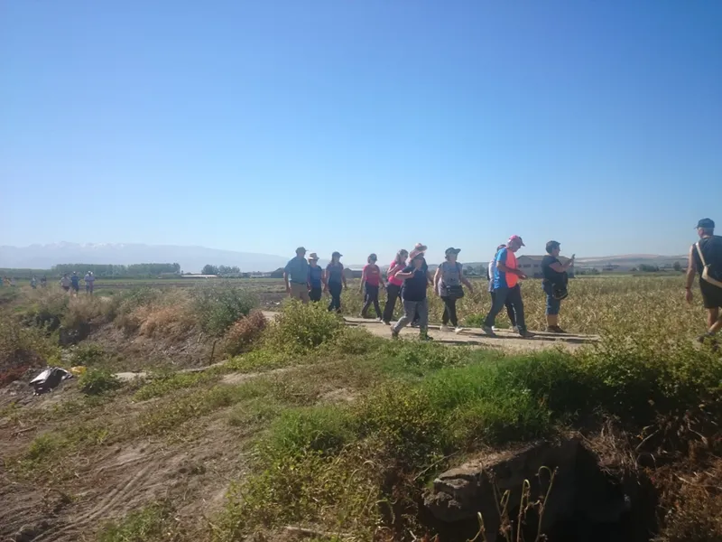 Descubre la Ruta de la Vega que culmina en la histórica Torre de Roma
