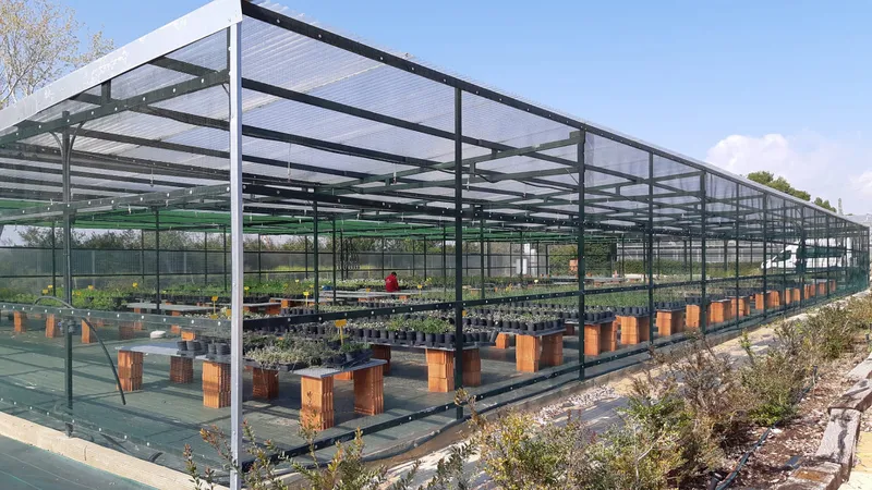 El Ayuntamiento de València mejora los viveros de El Saler con una cámara climática para la flora autóctona