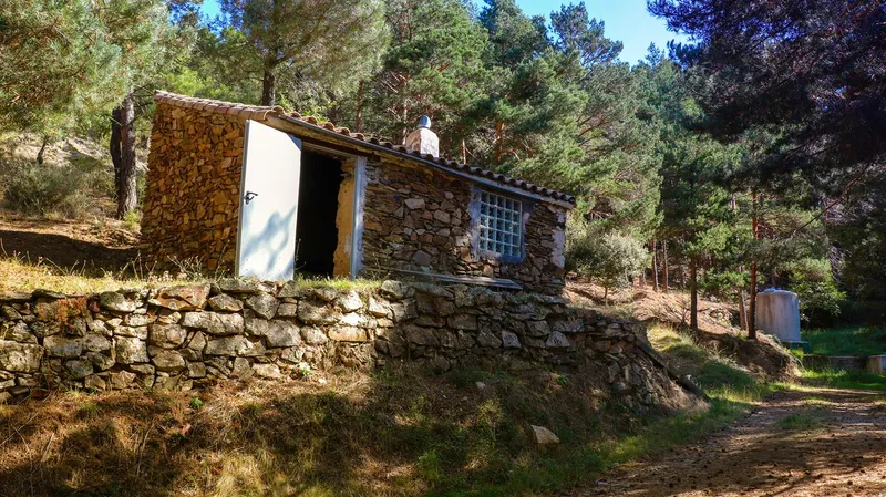 Descubre la Sierra Vicor: Pino de Seis Brazos y mirador de Monte Castillejo