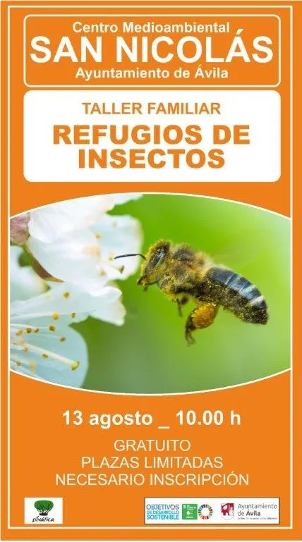 Ávila celebra un taller de refugios para insectos y cine al aire libre el 13 de agosto