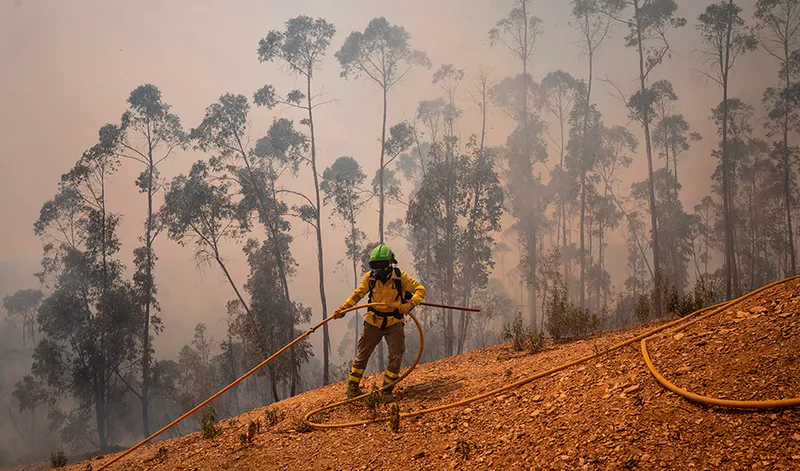 Incendio de Niebla: Copernicus confirma 33.000 hectáreas quemadas