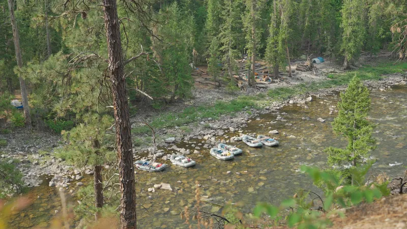 Aventura en aguas bravas: Expedición de rafting de seis días por el río Selway en Idaho
