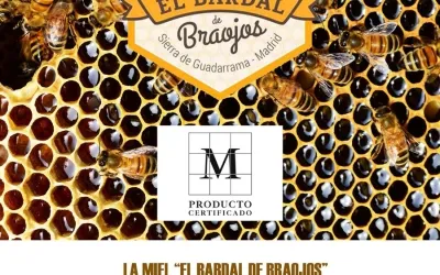 Miel de Braojos obtiene certificación de calidad para su producto estrella