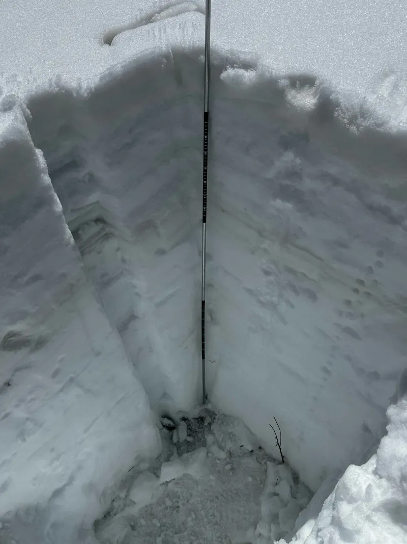 Alerta por polvo en la nieve: acelera el deshielo en las montañas de Colorado