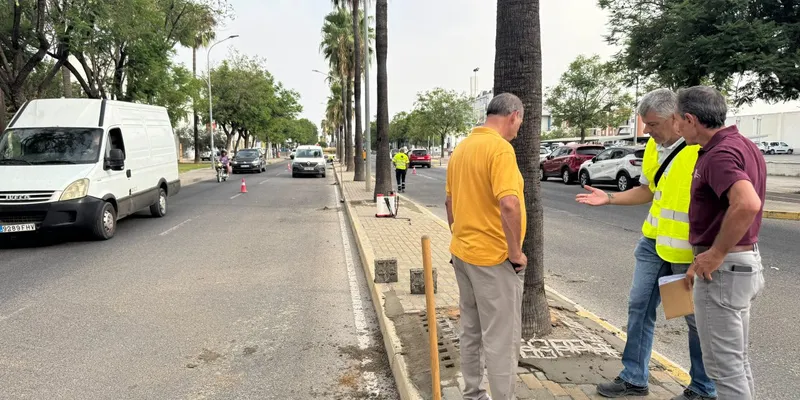 Utrera mejora sus accesos con la renovación de rotondas y medianas en la entrada sur