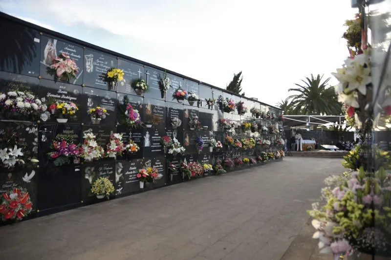 Tacoronte aprueba la ampliación del Cementerio Municipal con 544 nichos y 168 columbarios