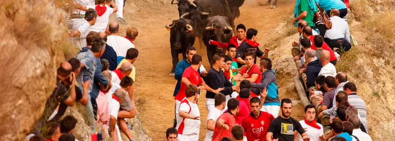 El Encierro del Pilón de Falces, una tradición taurina con siglos de historia