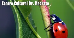 Exposición fotográfica "Naturalis" de Natt Agüero llega al Centro Cultural Dr. Madrazo en Santander