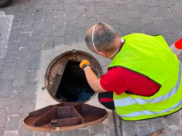 Pedro Muñoz refuerza el control de plagas con un tratamiento integral en alcantarillas