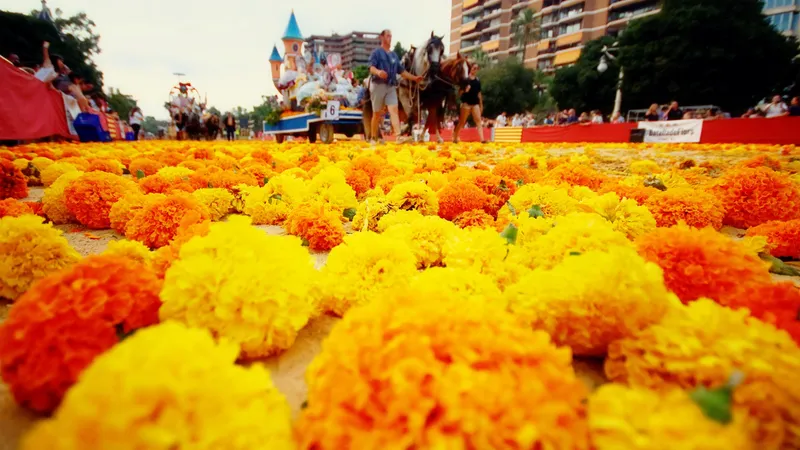 València ultima los preparativos para la Batalla de Flores con más de un millón de clavellones
