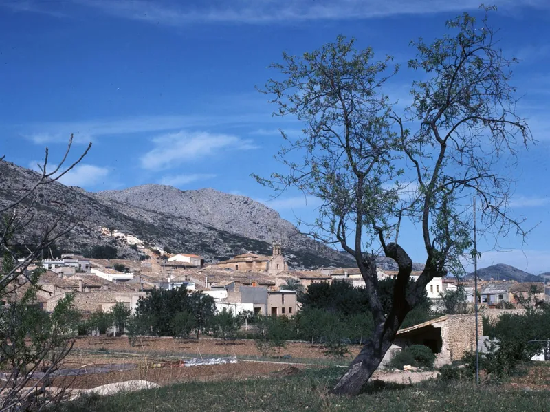 Tormos: Naturaleza, tranquilidad y agricultura en la comarca de la Rectoría