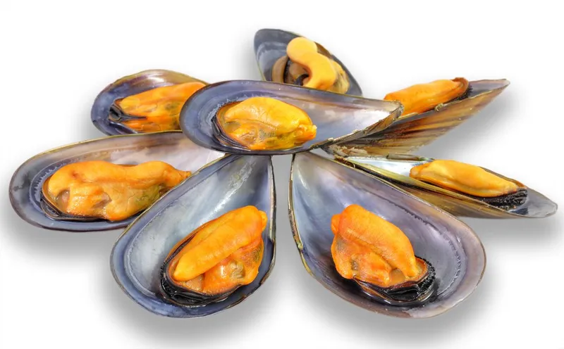 Pescadería Molina-Cano amplía sus servicios de entrega a domicilio gratuita entre Llíria y Valencia