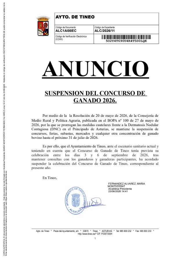 Tineo suspende el tradicional concurso de ganado