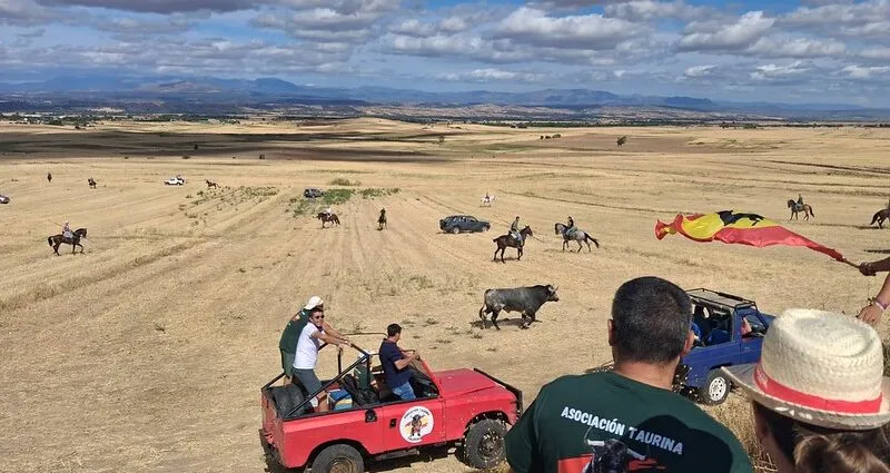 Alalpardo recupera el encierro por el campo tras 30 años de ausencia