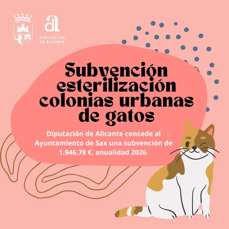 Subvención de la Diputación de Alicante para la esterilización de gatos en Sax