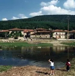 Salduero: Geografía, clima y fauna de la comarca de Pinares en Soria