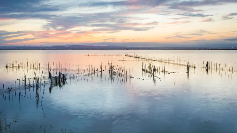 L'Albufera de València da un paso clave para ser Reserva de la Biosfera de la UNESCO
