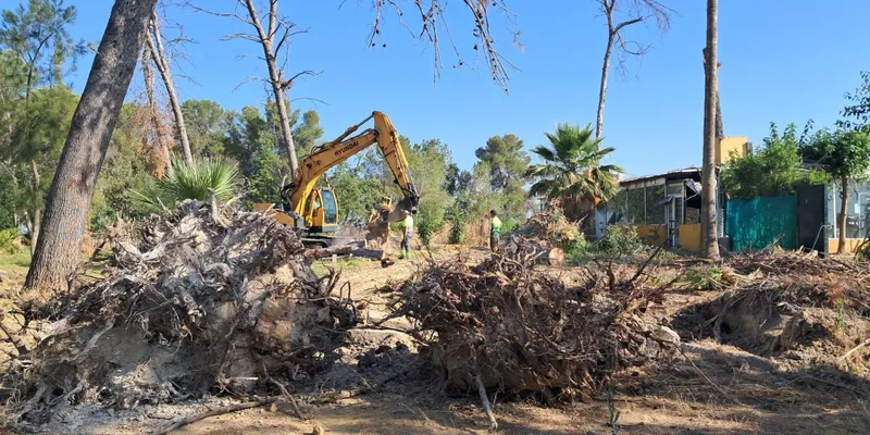 Utrera retira 55 árboles caídos por el temporal en el Parque de Guadalema