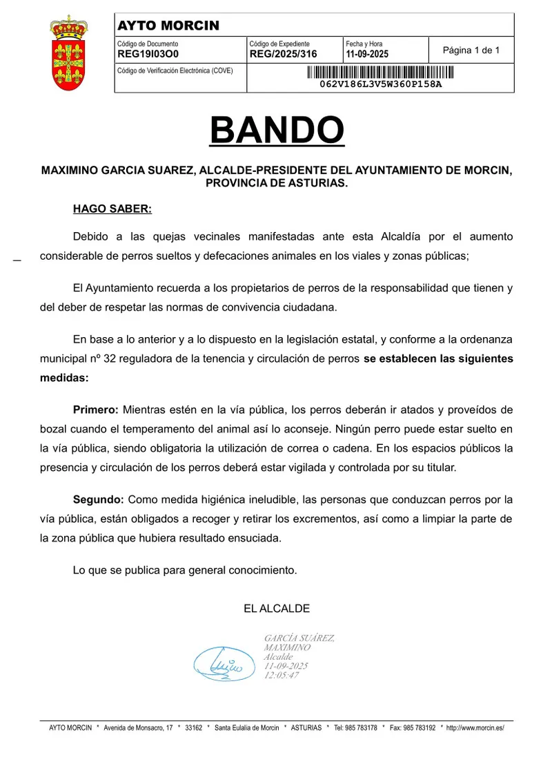 Morcín recuerda la obligación de llevar a los perros atados y recoger sus excrementos