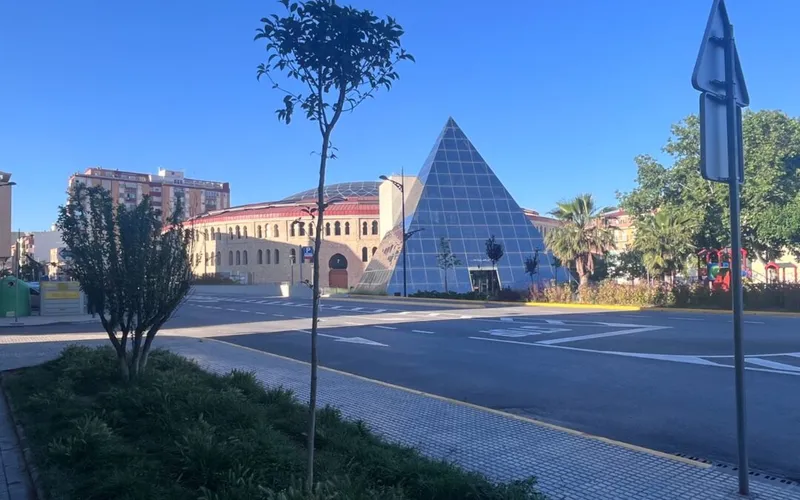Medio Ambiente de Villena renueva 50 árboles en zonas verdes urbanas