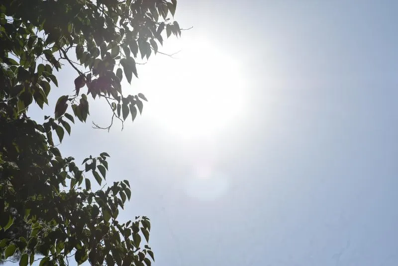 Daimiel: Piden máxima precaución y gafas homologadas para ver el eclipse en Navaseca