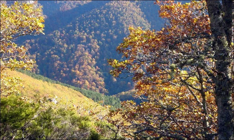 Ibias, el último reducto asturiano para el turismo de sosiego y naturaleza