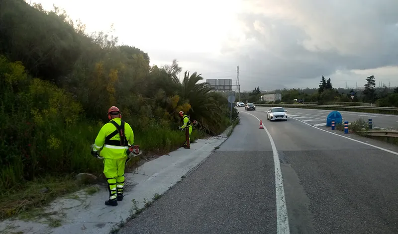 Junta de Andalucía licita 22 millones para el control de vegetación en carreteras