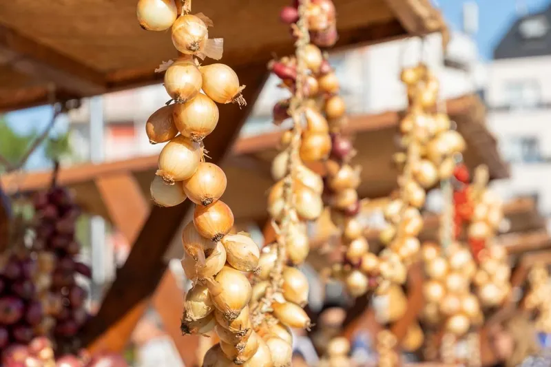 Sanxenxo abre el plazo para proponer candidatos a los premios Cebola de Ouro 2026