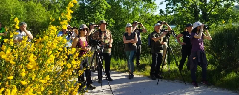 Ávila impulsa el turismo ornitológico con tres experiencias piloto