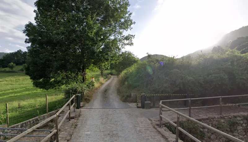 Bonansa abre el plazo para solicitar permisos de recolección de setas