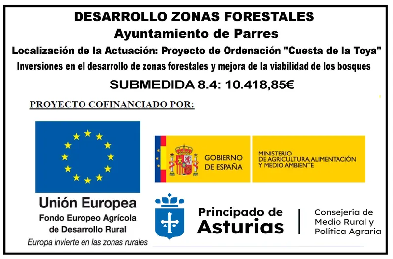 Ayudas forestales para la mejora de la gestión de bosques en Parres