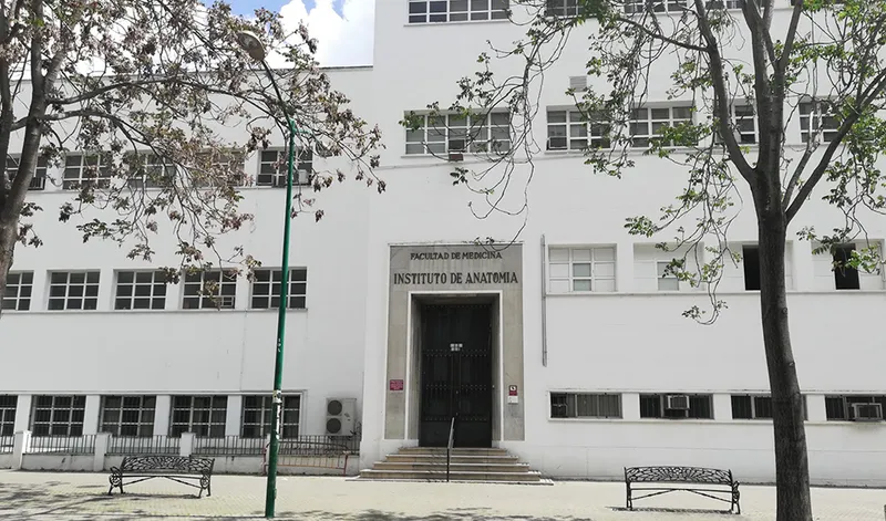 La rama sanitaria lidera las preferencias de los estudiantes universitarios andaluces