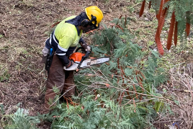 Benalmádena refuerza la limpieza de cauces y arroyos ante la temporada de lluvias