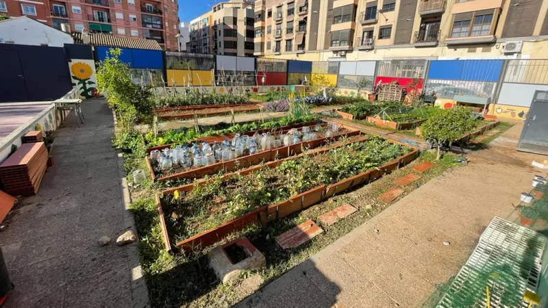 Más de 57.000 escolares valencianos participan en proyectos educativos municipales